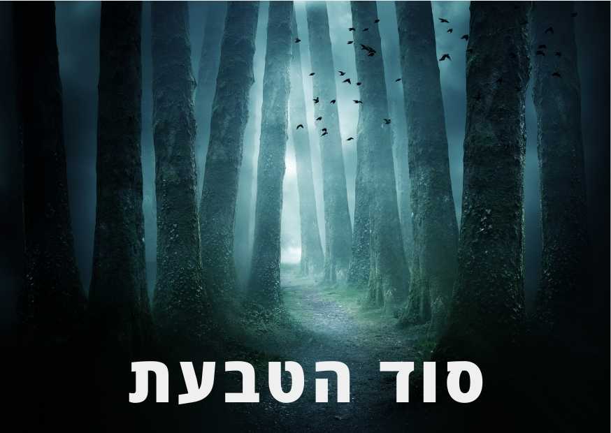 שר הטבעות ספר סקירה