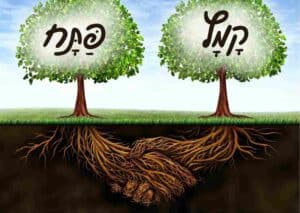למה יש קמץ ופתח